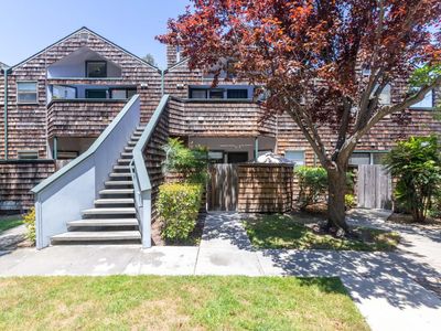 446 Bolinger Cmn