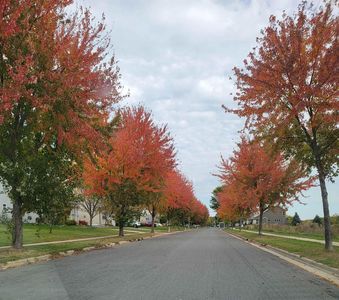 4619 Star Spangled Trail