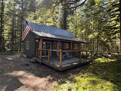 Cabin 61 Northwoods