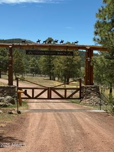 11 COUNTY ROAD N1333 --