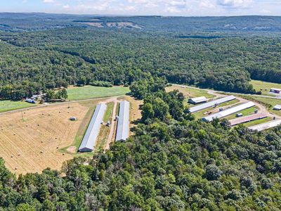 799 Barrens Community Rd