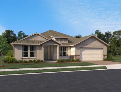 Carolina Plan, Ardisia Park