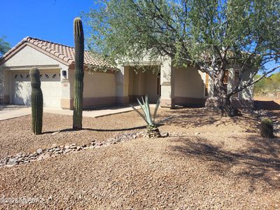 5058 W Desert Chicory Pl
