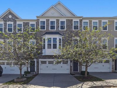 43451 Sweet Brandy Ter