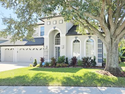 2016 SPOONBILL Street