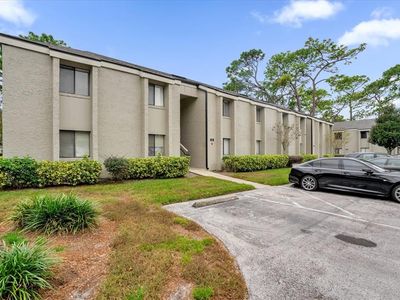 113 Springwood Cir APT D