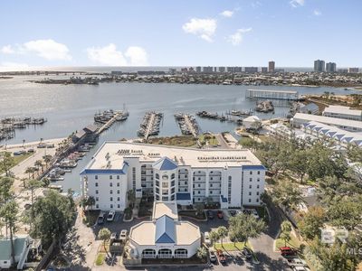 27282 Canal Rd APT 305