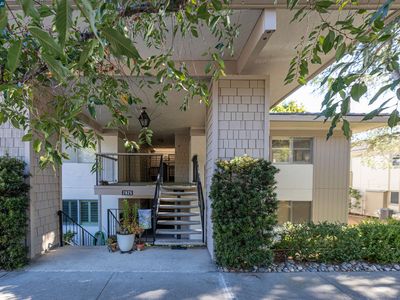 2825 Ptarmigan Dr APT 3