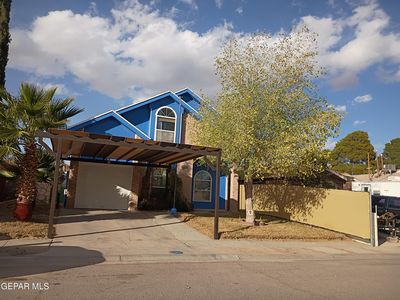 9165 Lacebark Elm Dr