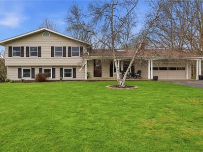 11 Saxony Rd