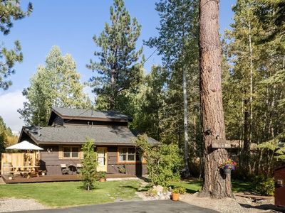 709 Tahoe Island Dr