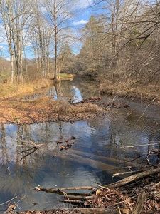 Property at Tbd Lick Creek Rd, Ceres, VA