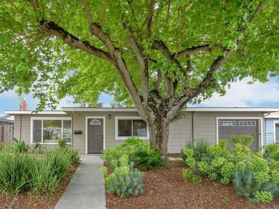 432 Cortez Drive