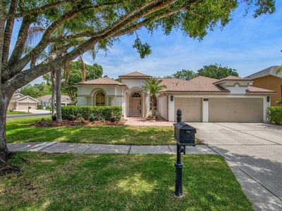 12806 Castlemaine Dr