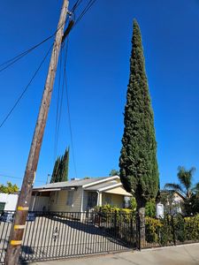 424 Poplar Ave