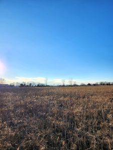 Property at 0 Imlay City Rd, Capac, MI