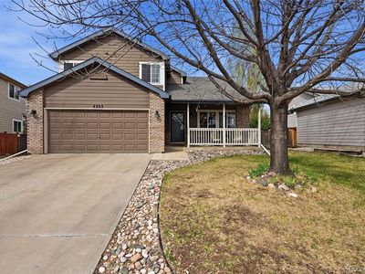 4203 Divide Drive