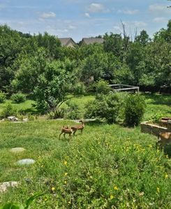 10210 Twin Lake Loop