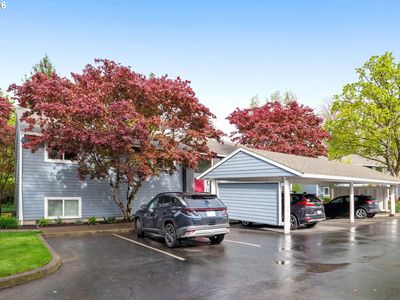 10980 SW Meadowbrook Dr Unit 3