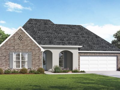 Owen Plan, Camellia Farms