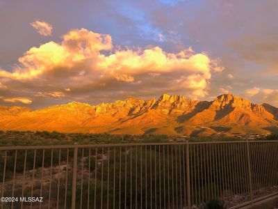 11656 N Silverwood Dr