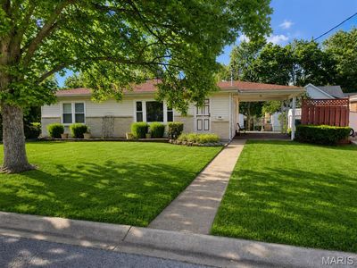 109 Lithia Ave