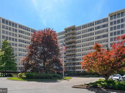 50 Belmont Ave APT 1016