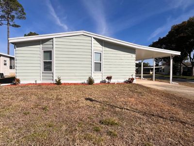 43 Koala Bear Path
