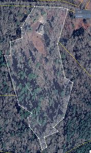733 Gizzard Creek Rd