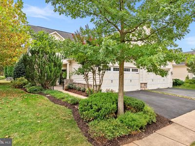 44397 Adare Manor Sq