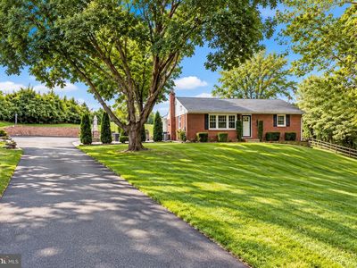 77 Little Egypt Rd