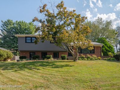 9812 Longwood Cir