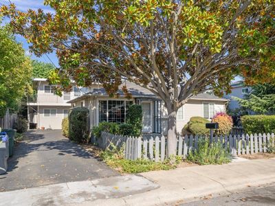 Chiquita Mountainview