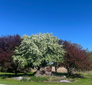 11750 Little Bluestem Ct N