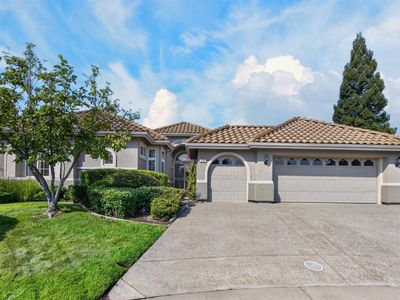 233 Grace Glen Ct