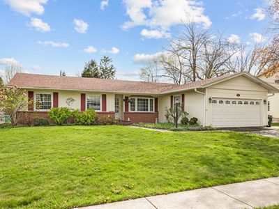 33 Walpole Rd