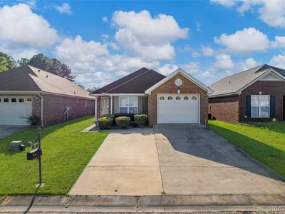 99 Turtle Dr