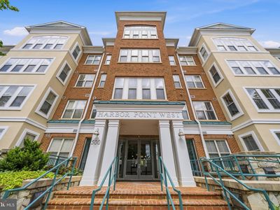 500 Belmont Bay Dr Unit 305