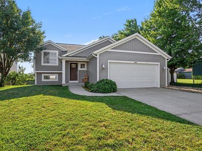 11413 Starflower Dr