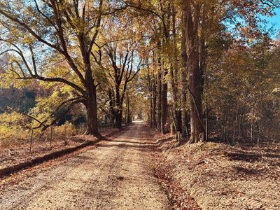 Mayer Rd