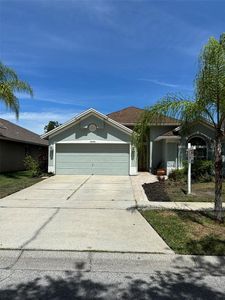 10290 Oasis Palm Dr