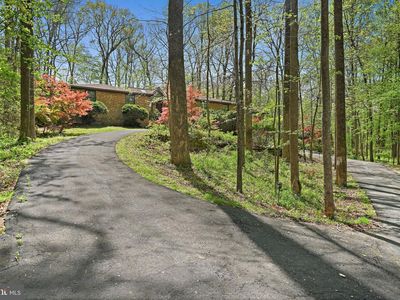 951 Captain Hickory Dr