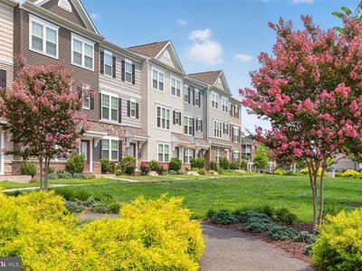 1806 Sag Harbor Ln