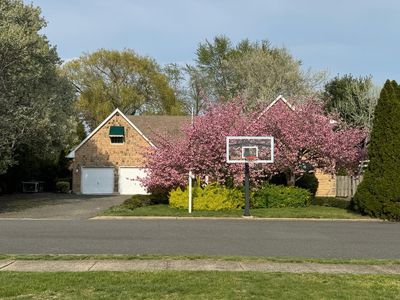 812 Mistletoe Avenue