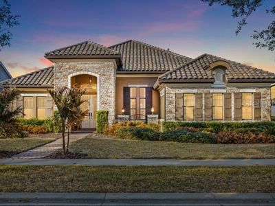 14715 Fishhawk Preserve Dr