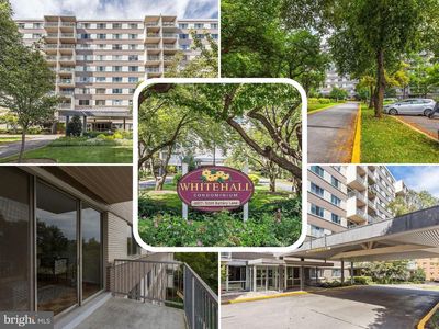 4977 Battery Ln #1-509