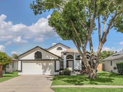 368 Morning Glory Dr