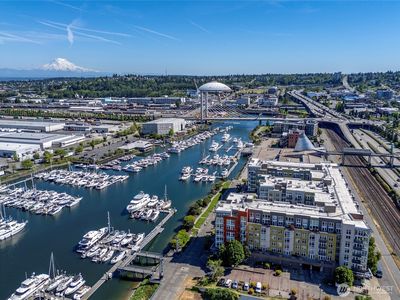 1705 Dock Street #513