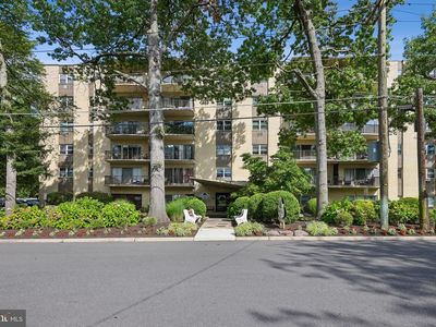 504 Chestnut Pl #504