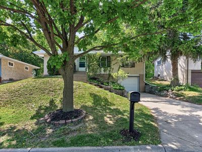 49 Flandrau Pl